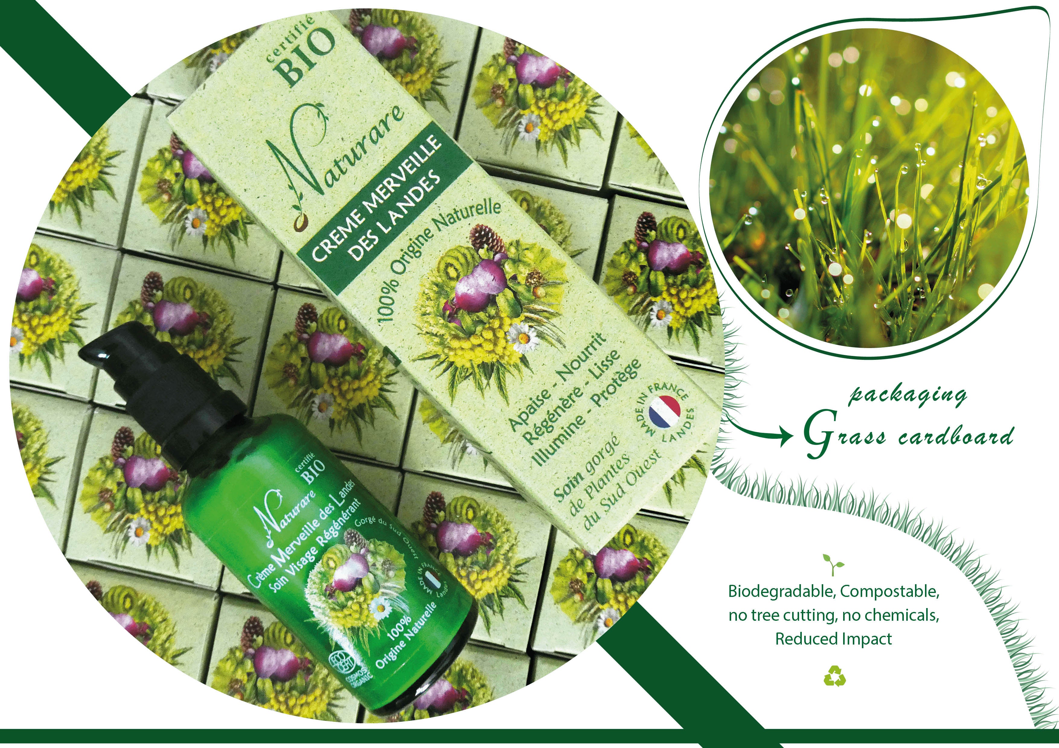 PRO - MERVEILLE DES LANDES BIO - Soin de peau Sensible Régénération Intégrale-9